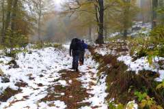 246677847_10158150047186441_1051891213433806099_n