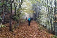 246697677_10158150048196441_5630339665716469768_n