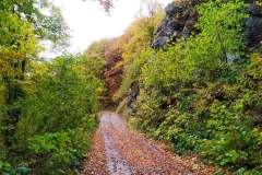 246713042_10158150047116441_2052806543656964726_n