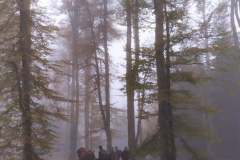 246735865_10158150048036441_6750555158967930861_n