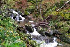 247308791_10158150047941441_7353813543861338884_n