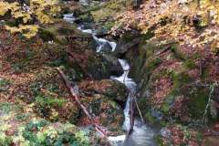 247503165_10158150048016441_7223131849848944384_n