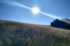 235134305_10158018168856441_8091086360987272362_n