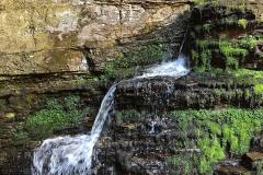 236153319_10158018168881441_744329859308528606_n