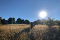 236518494_10158018169051441_2344965707804418683_n