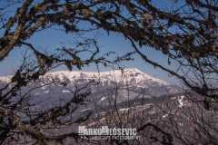 277517754_10158411944926441_6309869906900239080_n