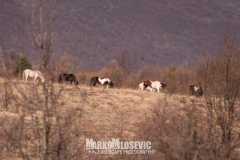 277567899_10158411941886441_4662460691695090256_n