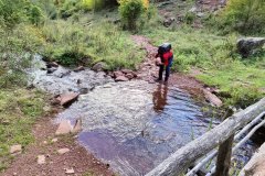 310675245_601635928353344_6431247497734629592_n