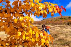 311293706_601635601686710_380980905766869254_n