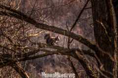 276174099_10158400273586441_7259987002782885728_n