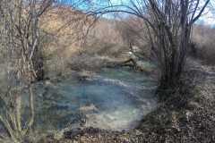 276300876_10158400273926441_6853248723496880971_n