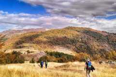 395439818_886395513210716_2398736031379500589_n