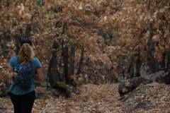 548271050_1415120933671502_7547305324239490282_n