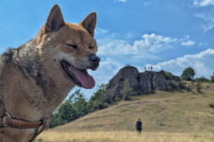 549698724_1415121397004789_3867187593726907931_n