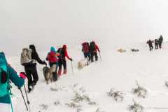 Stara planina (Žarkova čuka 1898mnv i Babin Zub 1758mnv)