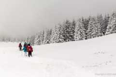 272399042_10158311833991441_7281443285943684843_n