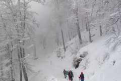 272448142_10158311833901441_5807658956483523657_n