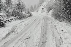 616280445_1526028729247388_2602693827195386077_n