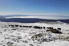 326994915_1191425988144553_2201416246691990310_n