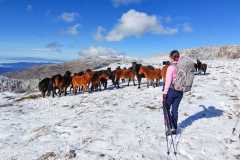 327052996_1344204336327853_5648953552180651727_n