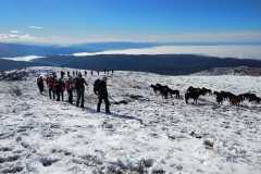 327283673_672395331350094_5375841085000341190_n