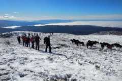 327357851_586172252854948_2686268039161401794_n