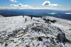 327381614_1580642975681951_7947006664508837558_n