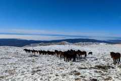 327454176_1118960915448405_8693806678812561251_n