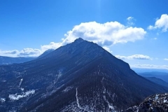 336915771_532405232404492_3692493262575422898_n