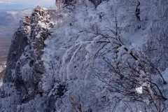 337031216_197580539373353_4669092255959104882_n