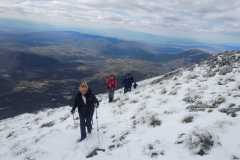 337274994_1171744736849397_3823691177492676256_n