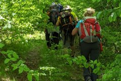 280624035_10158488605356441_5282234775337219021_n