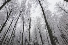 163608140_10157709933416441_3742384138799898096_n