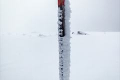 163937020_10157709932766441_3327431163082265142_n