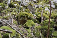 655496068_1582328403617420_4405639783551599608_n