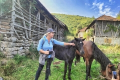 383994795_865336821983252_8607882935617051856_n