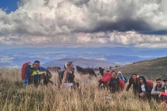 384179620_865336871983247_4013592005083743862_n