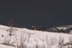 169048736_10157737517196441_5708875377732877878_n