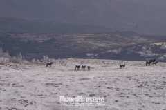 322731167_420289310252537_2758383813772627279_n