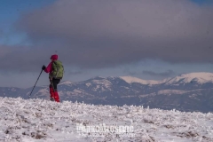 323639759_3293341960927788_3432049042757874178_n