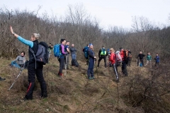 Svrljiške planine (Zeleni vrh 1334mnv)