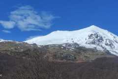 430796068_974163977767202_1409384148621915898_n