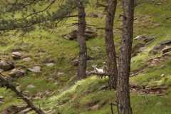 441133298_1022533819596884_8226233463719734333_n