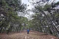 441172491_1022533309596935_3297648695487891097_n