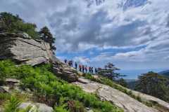 441223379_1022533559596910_8966539717774042144_n