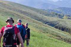 441966147_1027154942468105_4043914195249515677_n