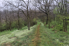 668565523_1596660715517522_8528982401738794738_n