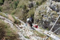 495331940_1302806111569652_6151739647208347806_n