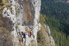 495356309_1302808084902788_4587410070048272119_n