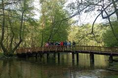 495381733_1302805224903074_3352975020615410249_n